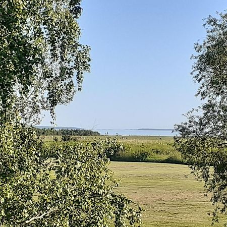Tuule Villa Kuressaare Bagian luar foto